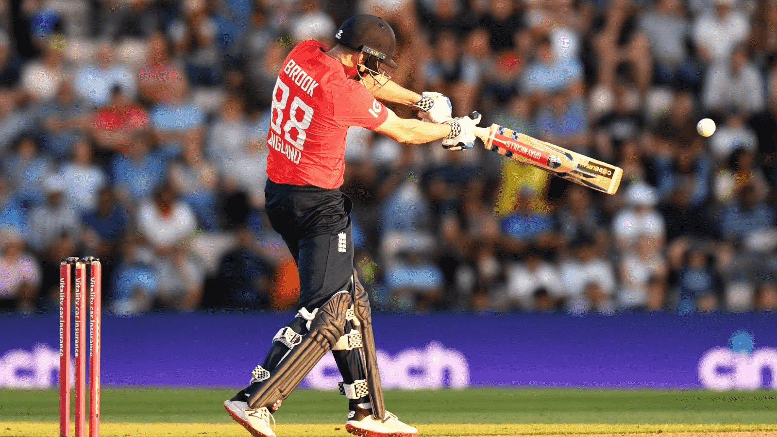 t20 world cup image