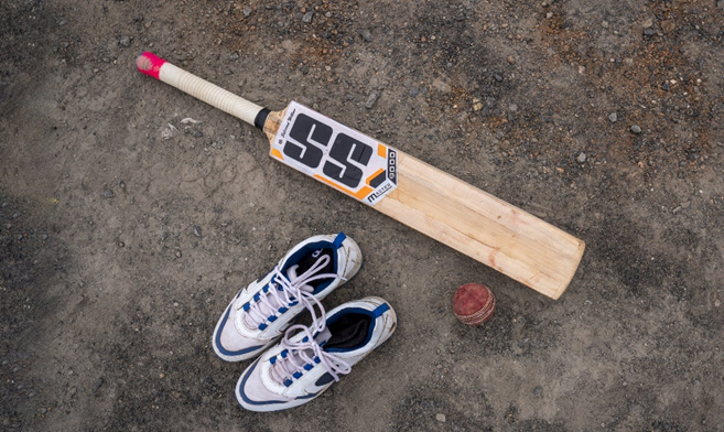 Cricket